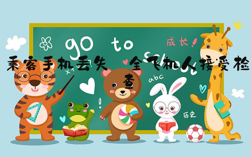 乘客手机丢失 全飞机人接受检查